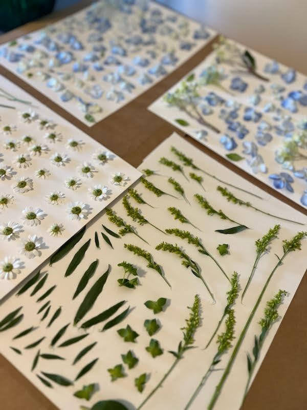 pressed flowers