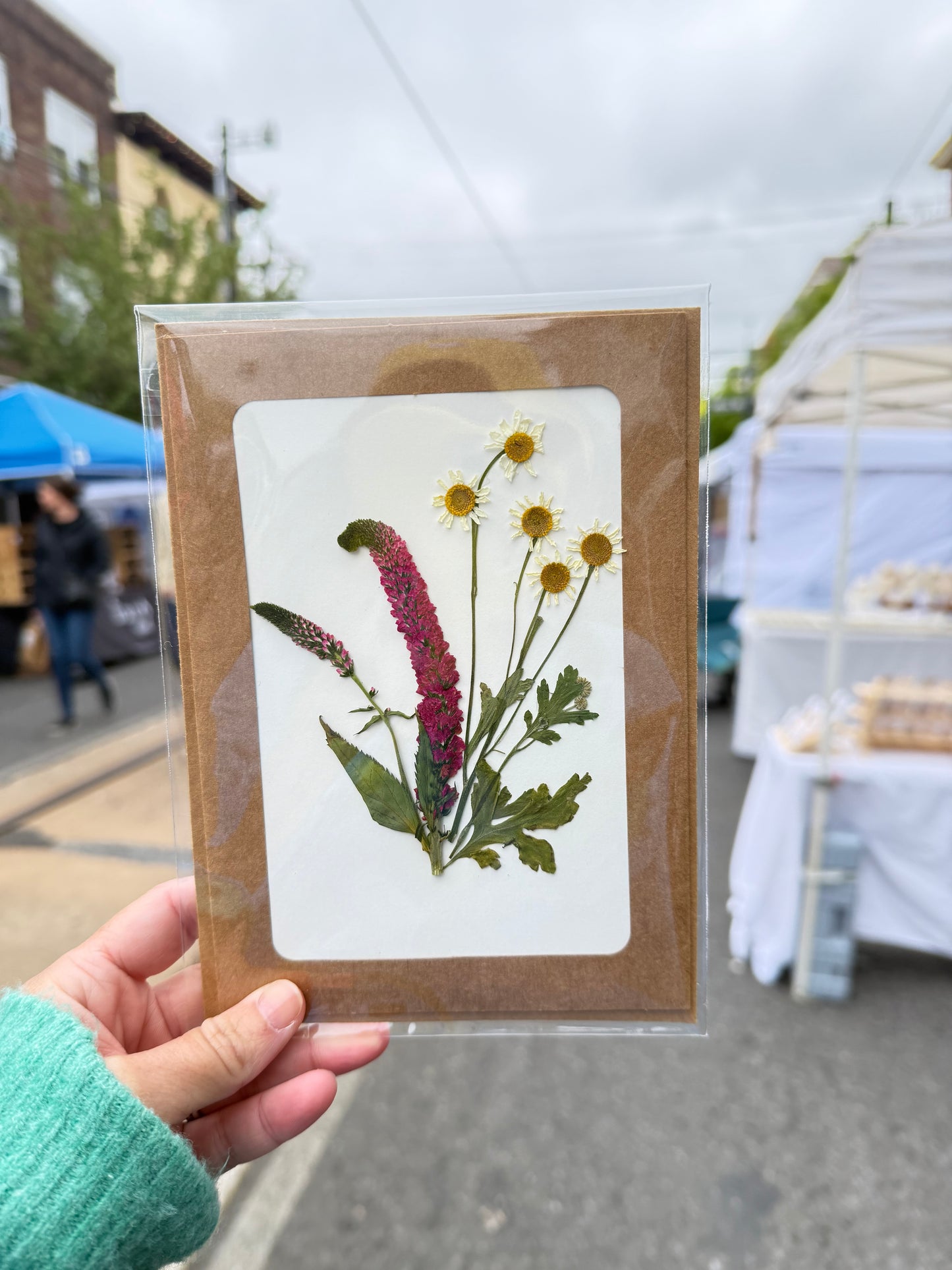 Pressed Flower Cards